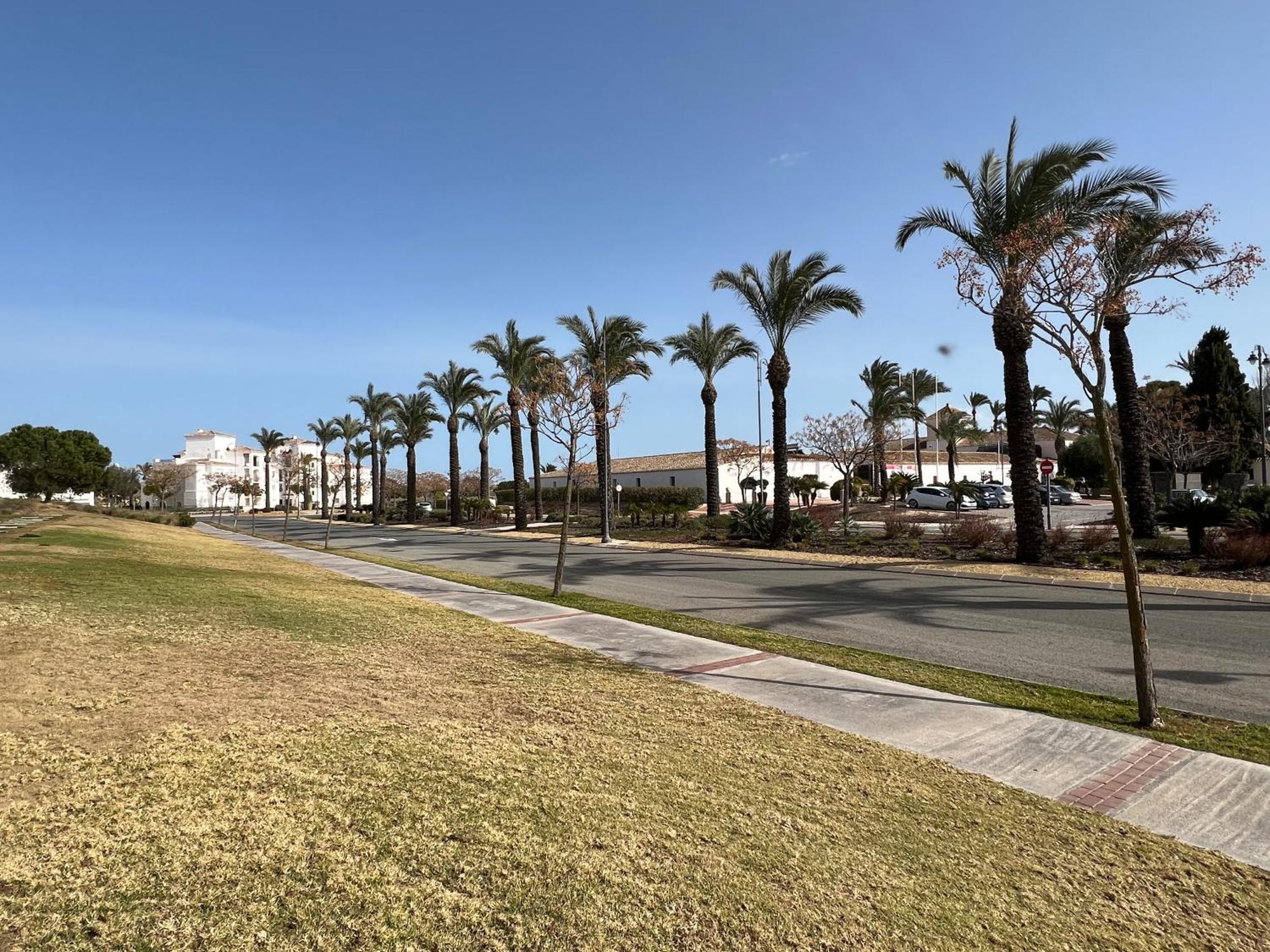 Apartment In Hacienda Riquelme Golf Resort Sucina Extérieur photo